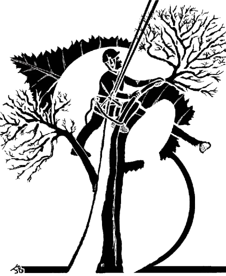 logo fb grimpela